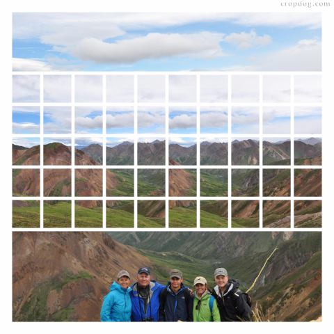 Photo Collage Denali National Park