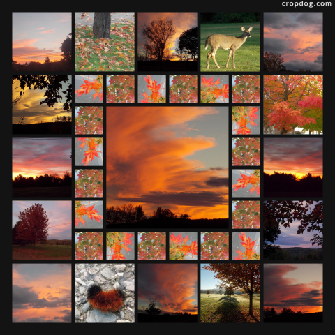 Photo Collage God's Glorious Colors Of Fall