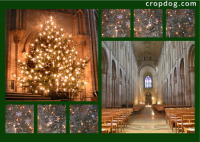 Photo Collage Christmas At Ely Cathedral