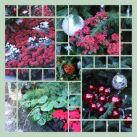 Photo Collage Longwood Gardens Holiday