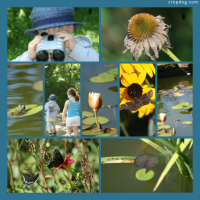 Photo Collage Exploring Nature Photo Collage