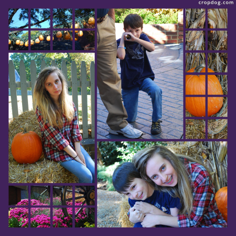 Photo Collage Fall 2014