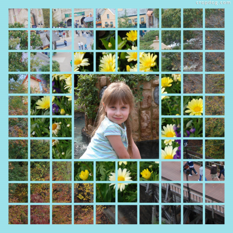 Photo Collage Surrounded By Daisy