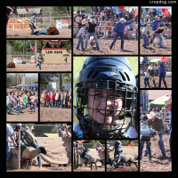 Photo Collage 2015 Lehi Days With The Panzicas