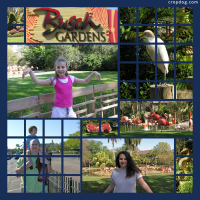 Photo Collage Busch Gardens