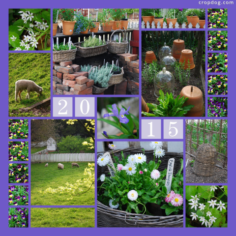 Photo Collage Colonial Spring