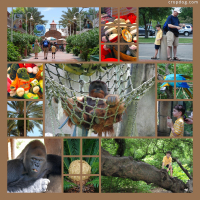 Photo Collage Audubon Zoo