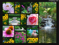 Photo Collage Lewis Ginter Botanical Gardens