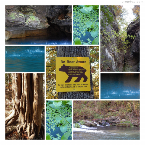 Photo Collage Roaring River State Park
