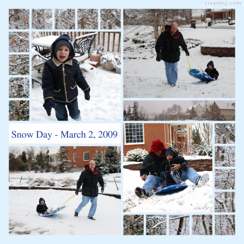 Photo Collage Snow Buds