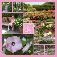 Photo Collage Ashville Botanical Gardens