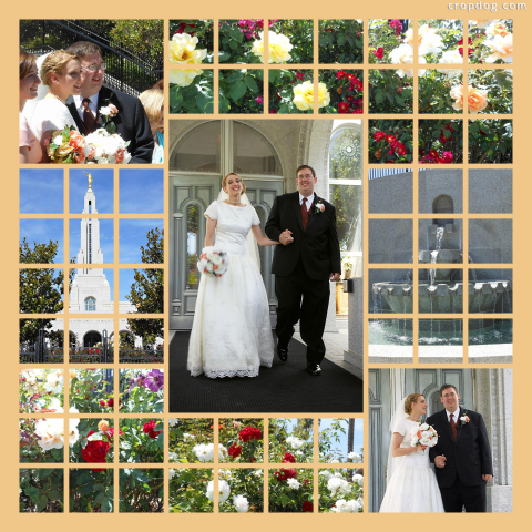 Photo Collage California Wedding