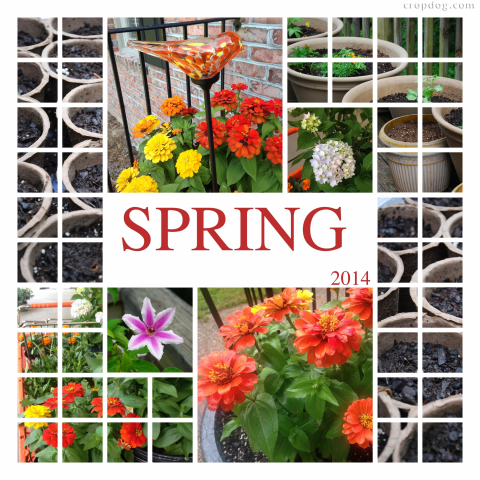 Photo Collage Spring Planting