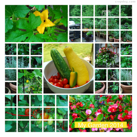 Photo Collage Summer Garden 2014
