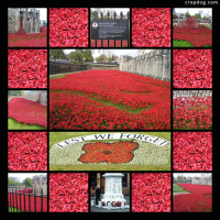 Photo Collage The Tower Of London Remembers