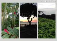 Photo Collage Hawaii
