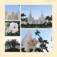 Photo Collage Temple