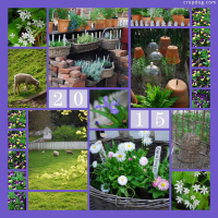 Photo Collage Colonial Spring